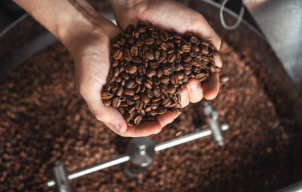 Stronghold - Welcher Röster eignet sich am besten zum Rösten von Kaffee bis 5kg?