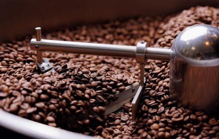 Stronghold - Kaffeeröster für zu Hause